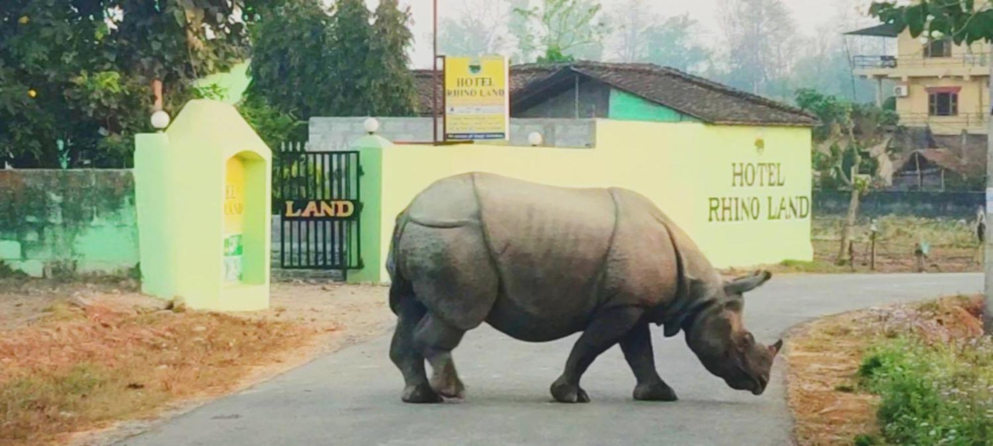 Hotel Rhino Land, Sauraha Bagian luar foto