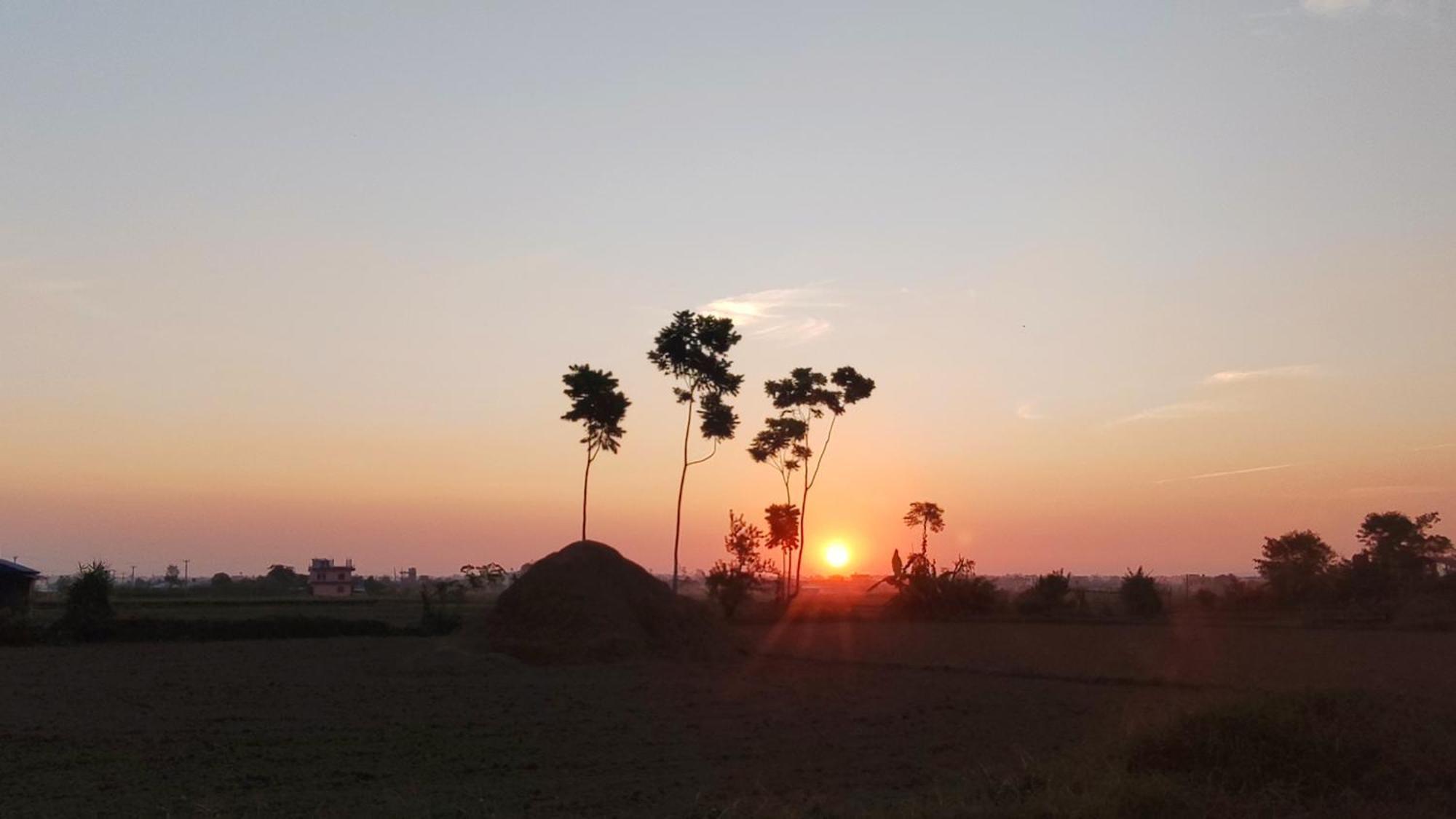 Hotel Rhino Land, Sauraha Bagian luar foto